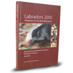 Labradors 2010